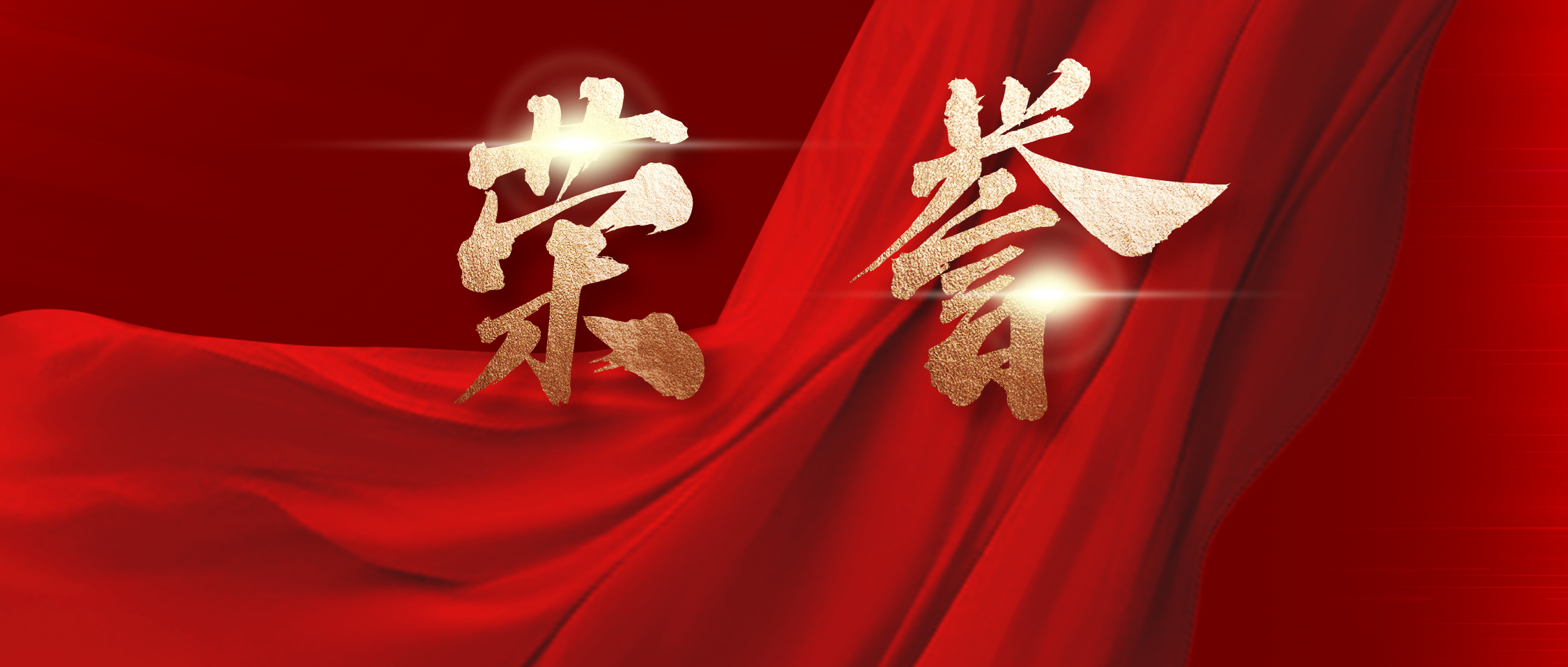 荣誉 | 跨境宝总经理获推动民营经济高质量发展“突出贡献个人”称号